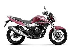 Fazer FZ25